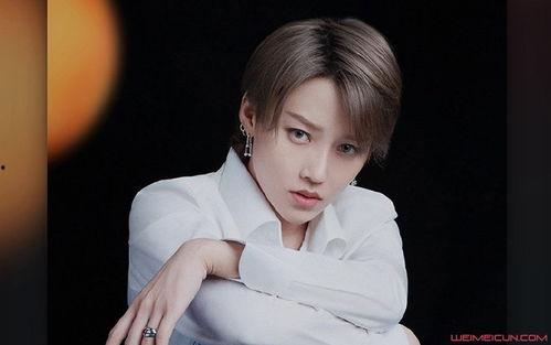 刘雨昕爆料最新视频播放,揭秘幕后故事与精彩瞬间